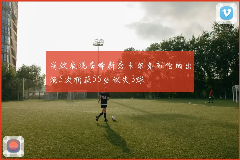 高效表现黄蜂新秀卡尔克布伦纳出场5次斩获55分仅失3球