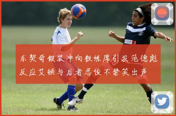 东契奇假装冲向教练席引发范德彪反应艾顿与后者忍俊不禁笑出声